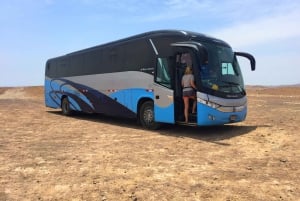 Från Lima: Paracas och Huacachina Oasis - guidad dagsutflykt