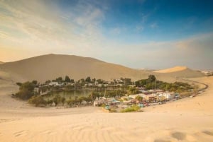 Vanuit Lima: Paracas en Huacachina Oase dagvullende tour met gids