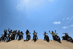 From Lima: Paracas, Ballestas Islands, and Huacachina Tour