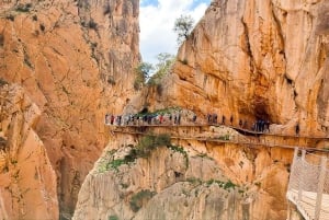Depuis Malaga : excursion guidée sur le Caminito del Rey