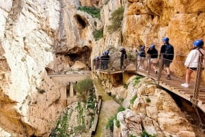 Depuis Malaga : excursion guidée sur le Caminito del Rey