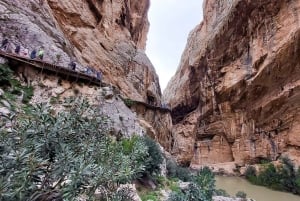 Depuis Malaga : excursion guidée sur le Caminito del Rey