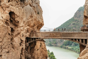 From Málaga & Costa del Sol: Caminito del Rey Guided Tour