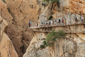 From Málaga & Costa del Sol: Caminito del Rey Guided Tour