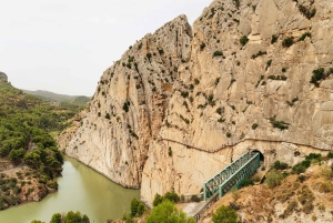 From Málaga & Costa del Sol: Caminito del Rey Guided Tour