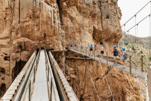 From Málaga & Costa del Sol: Caminito del Rey Guided Tour