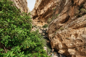 From Málaga & Costa del Sol: Caminito del Rey Guided Tour