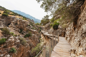 From Málaga & Costa del Sol: Caminito del Rey Guided Tour