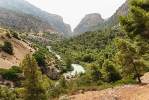 From Málaga & Costa del Sol: Caminito del Rey Guided Tour