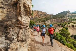From Málaga & Costa del Sol: Caminito del Rey Guided Tour