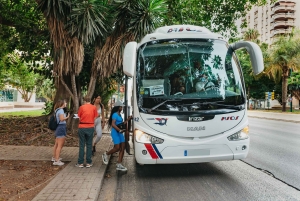 From Málaga & Costa del Sol: Caminito del Rey Guided Tour
