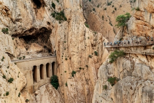 From Málaga & Costa del Sol: Caminito del Rey Guided Tour