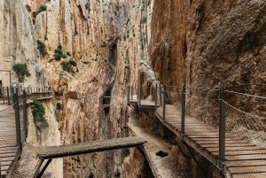 From Málaga & Costa del Sol: Caminito del Rey Guided Tour