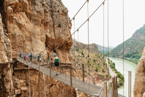 From Málaga & Costa del Sol: Caminito del Rey Guided Tour