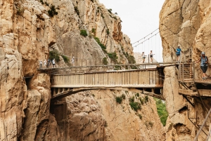 From Málaga & Costa del Sol: Caminito del Rey Guided Tour