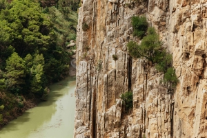 From Málaga & Costa del Sol: Caminito del Rey Guided Tour