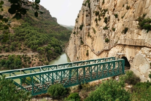 From Málaga & Costa del Sol: Caminito del Rey Guided Tour