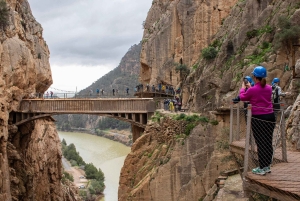 From Málaga & Costa del Sol: Caminito del Rey Guided Tour