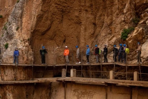 From Málaga & Costa del Sol: Caminito del Rey Guided Tour