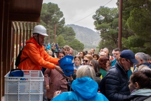 From Málaga & Costa del Sol: Caminito del Rey Guided Tour