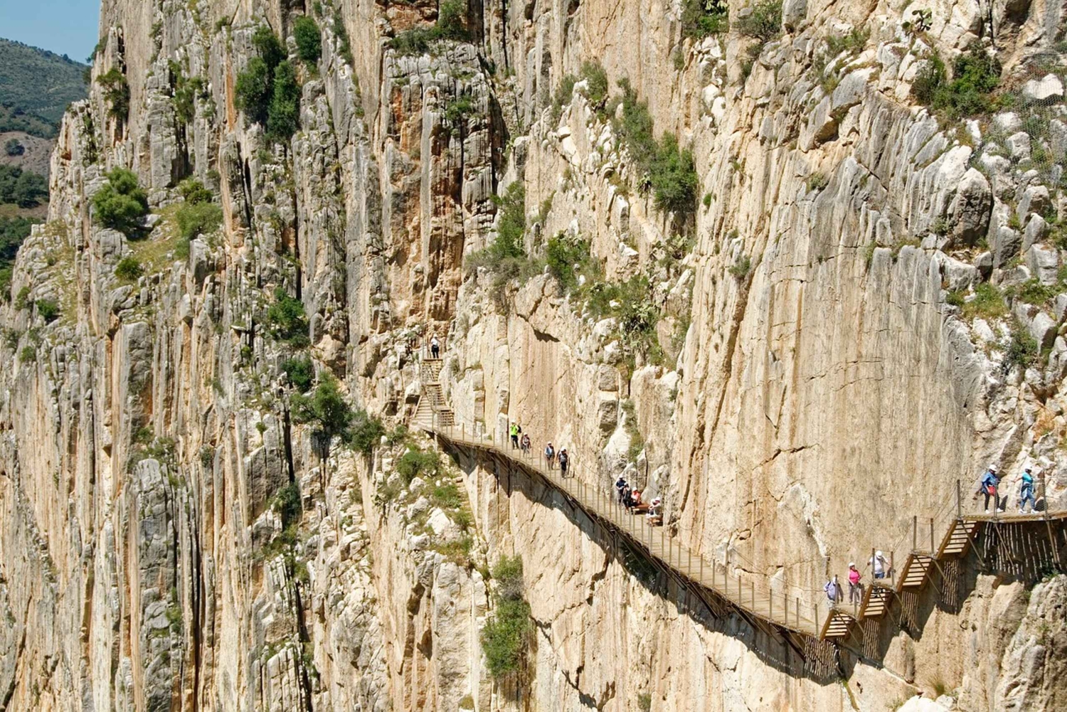 Fra Marbella eller Estepona: Caminito del Rey guidet dagstur