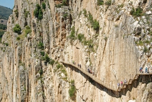 Fra Marbella eller Estepona: Caminito del Rey guidet dagstur