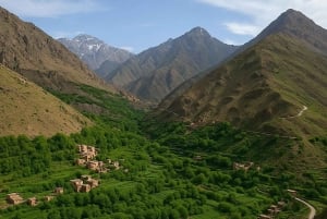 From Marrakech: Atlas Mountains Day Trip with Camel Ride