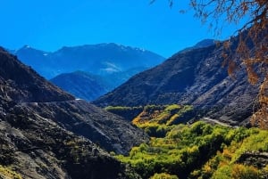 From Marrakech: Atlas Mountains Day Trip with Camel Ride