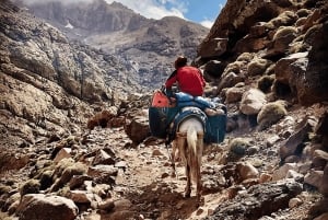 From Marrakech: Atlas Mountains Day Trip with Camel Ride