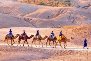 From Marrakech: Atlas Mountains Day Trip with Camel Ride