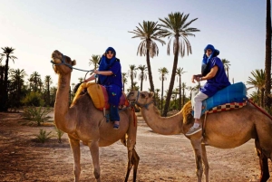 From Marrakech: Camel Ride in the Palm Grove