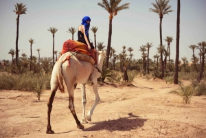 From Marrakech: Camel Ride in the Palm Grove