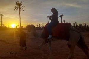 From Marrakech: Camel Ride in the Palm Grove