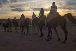 From Marrakech: Camel Ride in the Palm Grove
