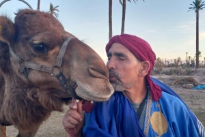 From Marrakech: Camel Ride in the Palm Grove