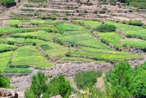 De Marraquexe: Viagem de 1 dia a Imlil e almoço numa casa de família local