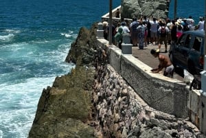 Från Mazatlán: ATV-tur till Sierra Madre med lunch
