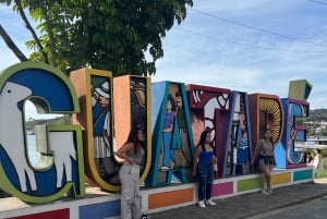 Fra Medellín: Privat tur til Guatapé og Peñol Rock