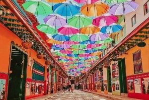 From Medellin: Guided tour of Guatapé, culture, landscapes, and lunch