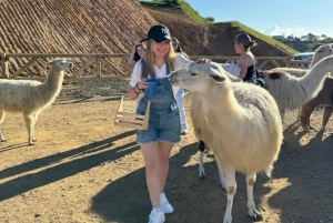 From Medellin: Guided tour of Guatapé, culture, landscapes, and lunch