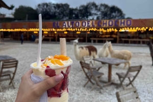 From Medellin: Guided tour of Guatapé, culture, landscapes, and lunch