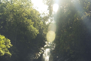 Von MedellÃn aus: Wanderung auf einem alten Pfad mit Guide zum Wasserfall