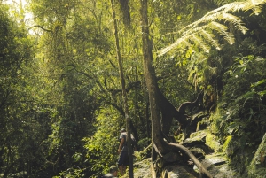 Von MedellÃn aus: Wanderung auf einem alten Pfad mit Guide zum Wasserfall
