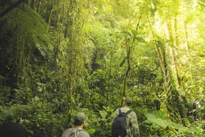 Von MedellÃn aus: Wanderung auf einem alten Pfad mit Guide zum Wasserfall