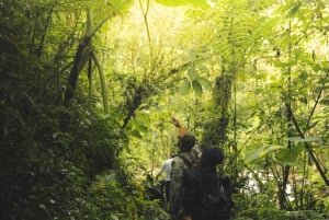 Von MedellÃn aus: Wanderung auf einem alten Pfad mit Guide zum Wasserfall