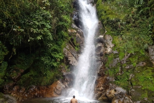 Von MedellÃn aus: Wanderung auf einem alten Pfad mit Guide zum Wasserfall