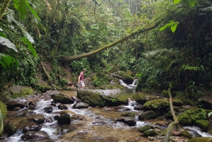 Von MedellÃn aus: Wanderung auf einem alten Pfad mit Guide zum Wasserfall
