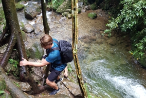 Von MedellÃn aus: Wanderung auf einem alten Pfad mit Guide zum Wasserfall