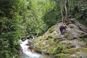 Von MedellÃn aus: Wanderung auf einem alten Pfad mit Guide zum Wasserfall