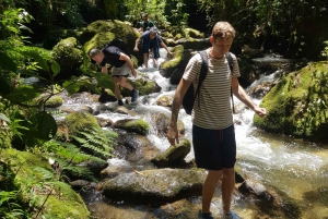 Von MedellÃn aus: Wanderung auf einem alten Pfad mit Guide zum Wasserfall